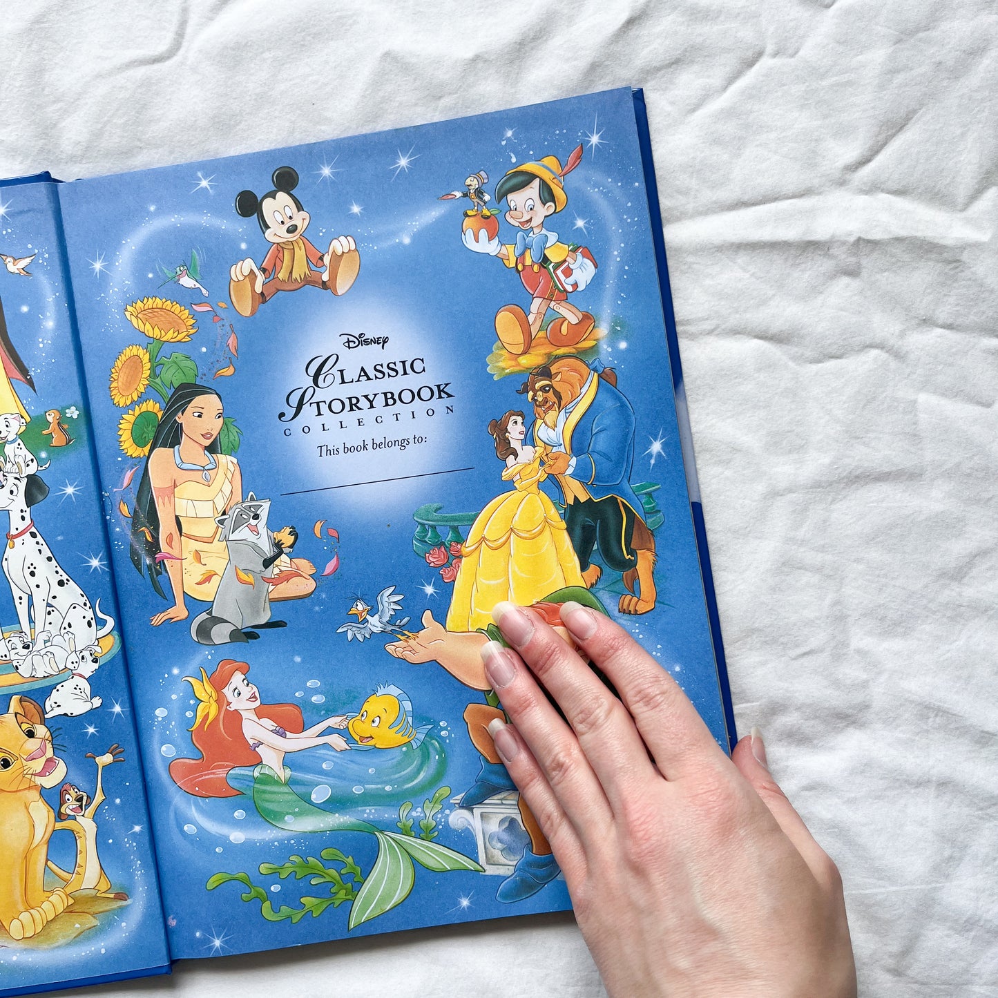Large Bambi book