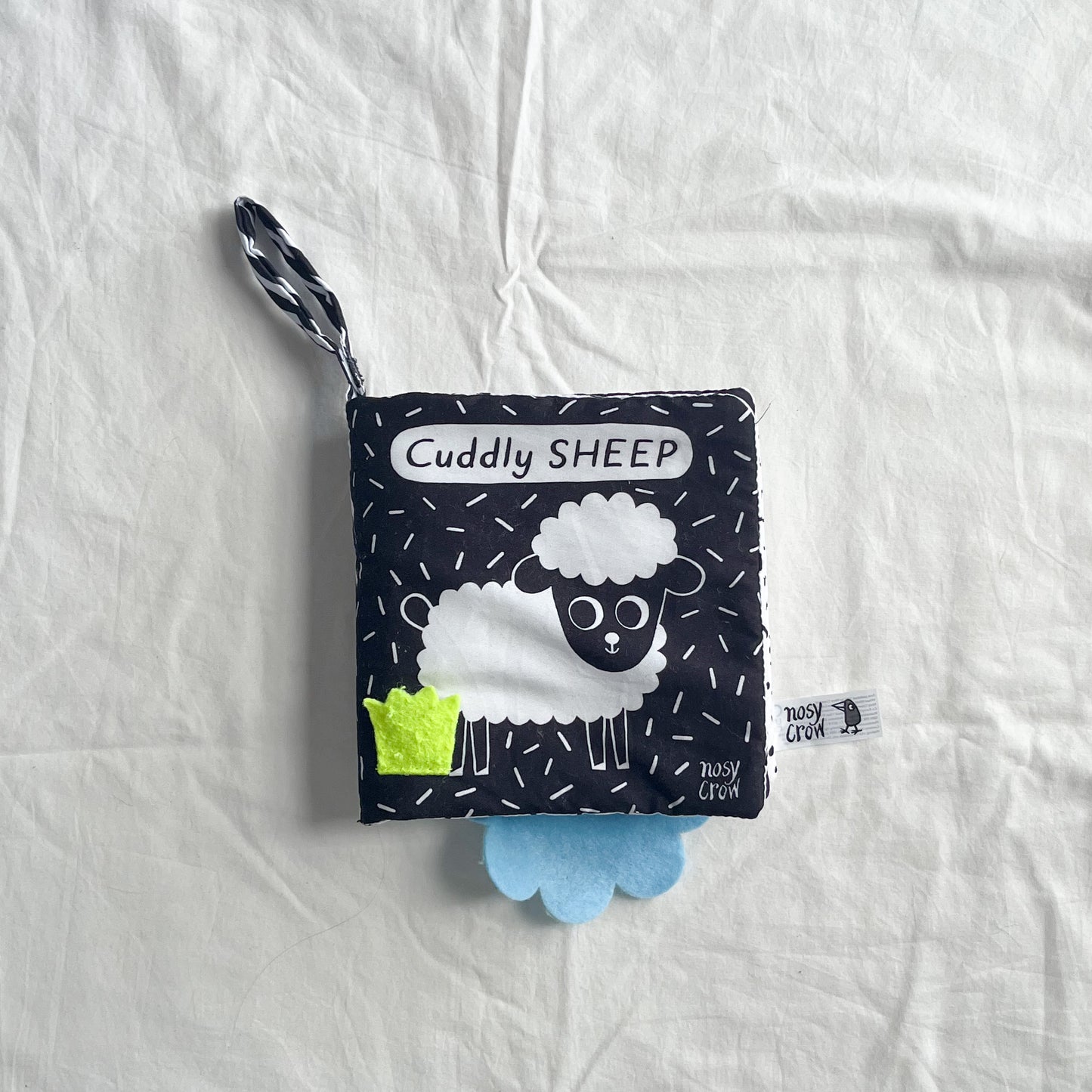 Nosy crow book