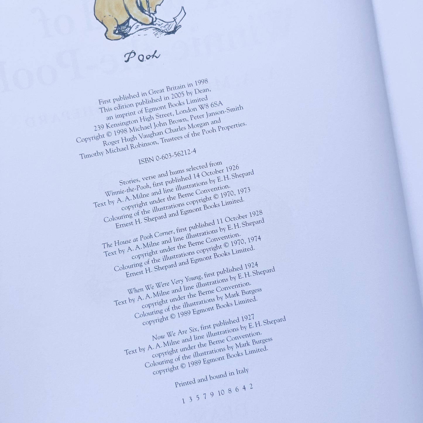 Winnie the Pooh book, large