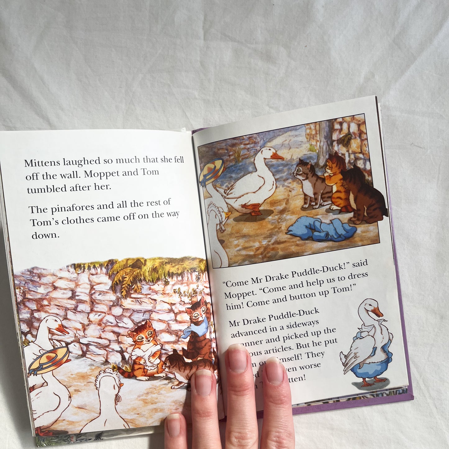 Tom kitten book, small