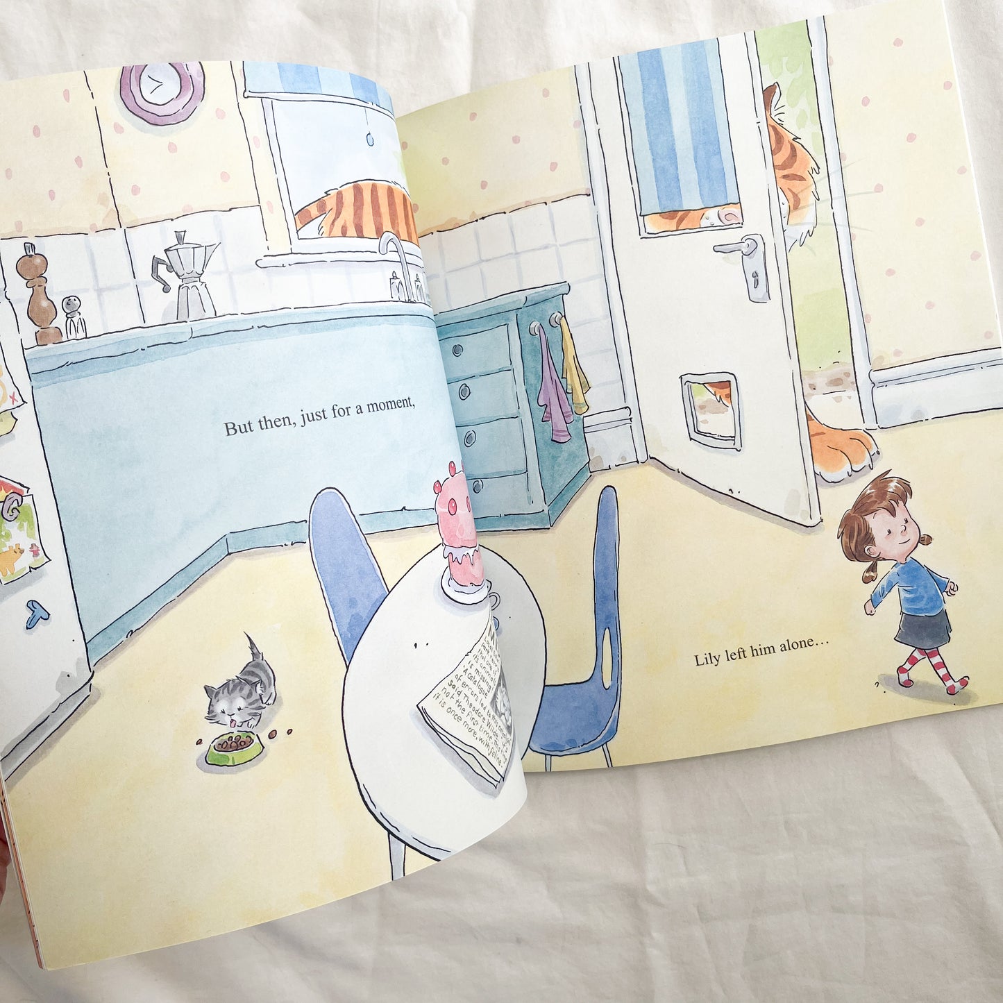 Naughty kitty book, med-large