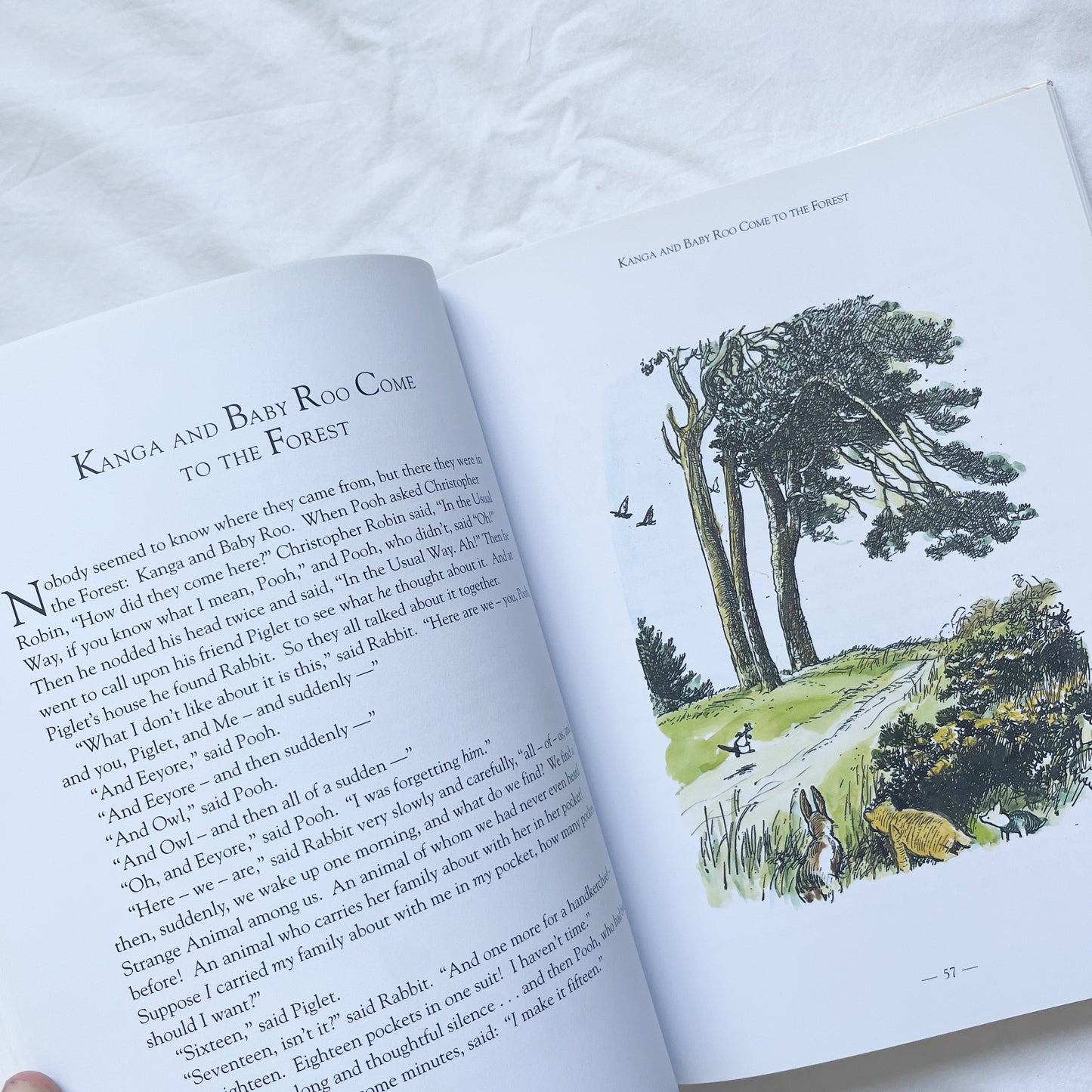 Winnie the Pooh book, large