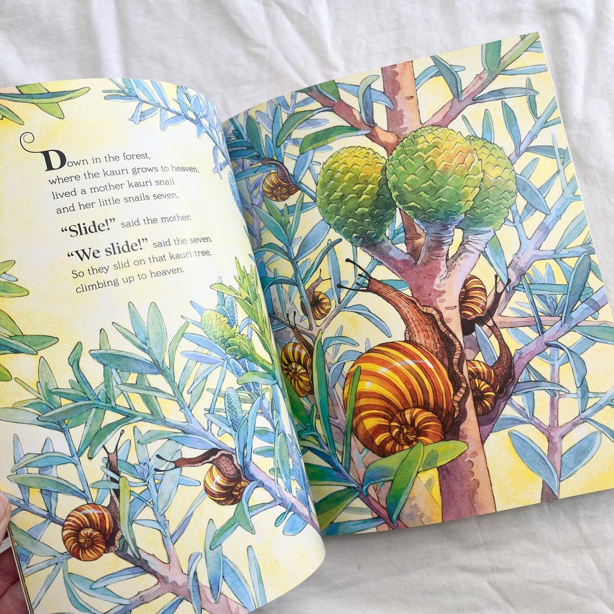 Down in the forest book, medium