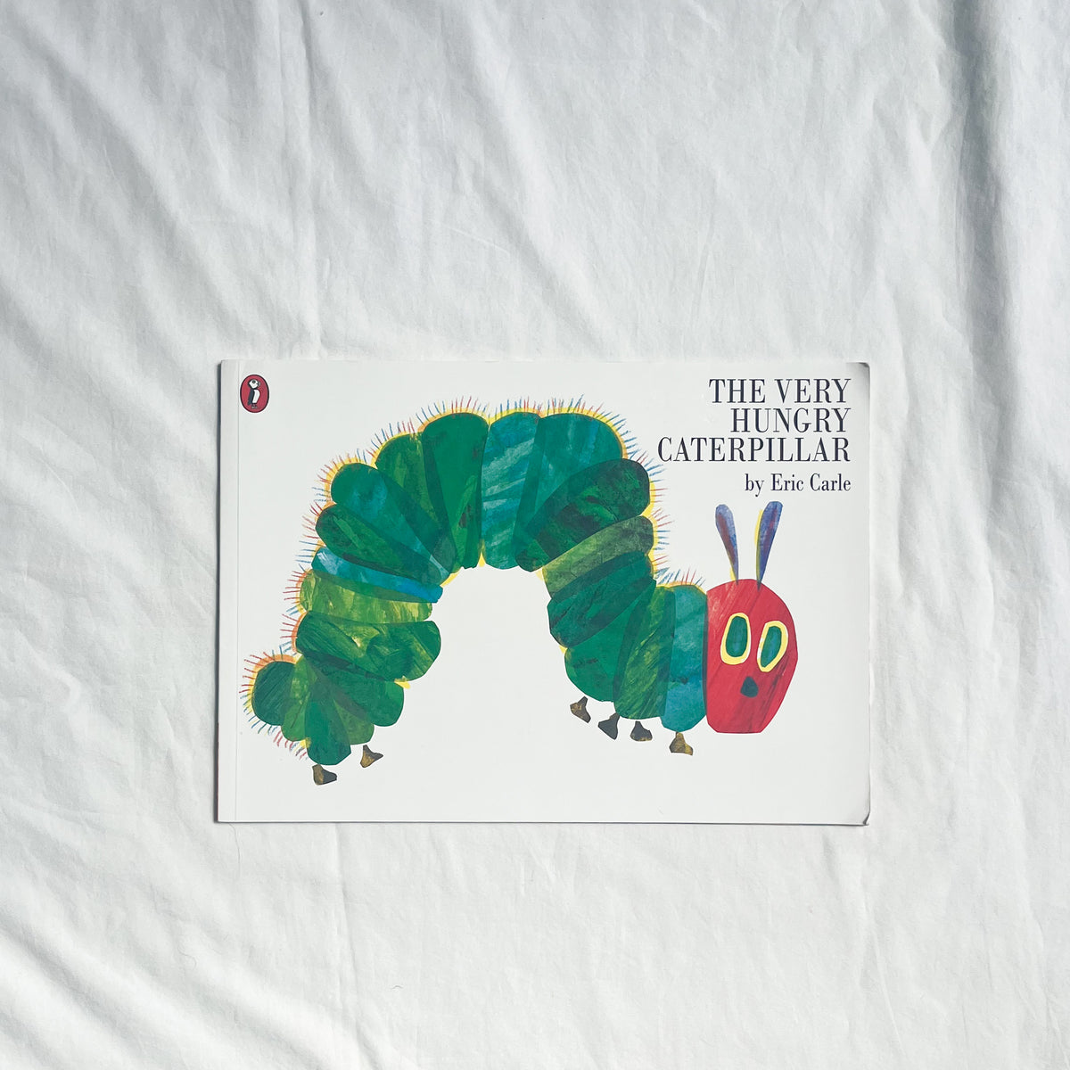 Hungry caterpillar book, med-large