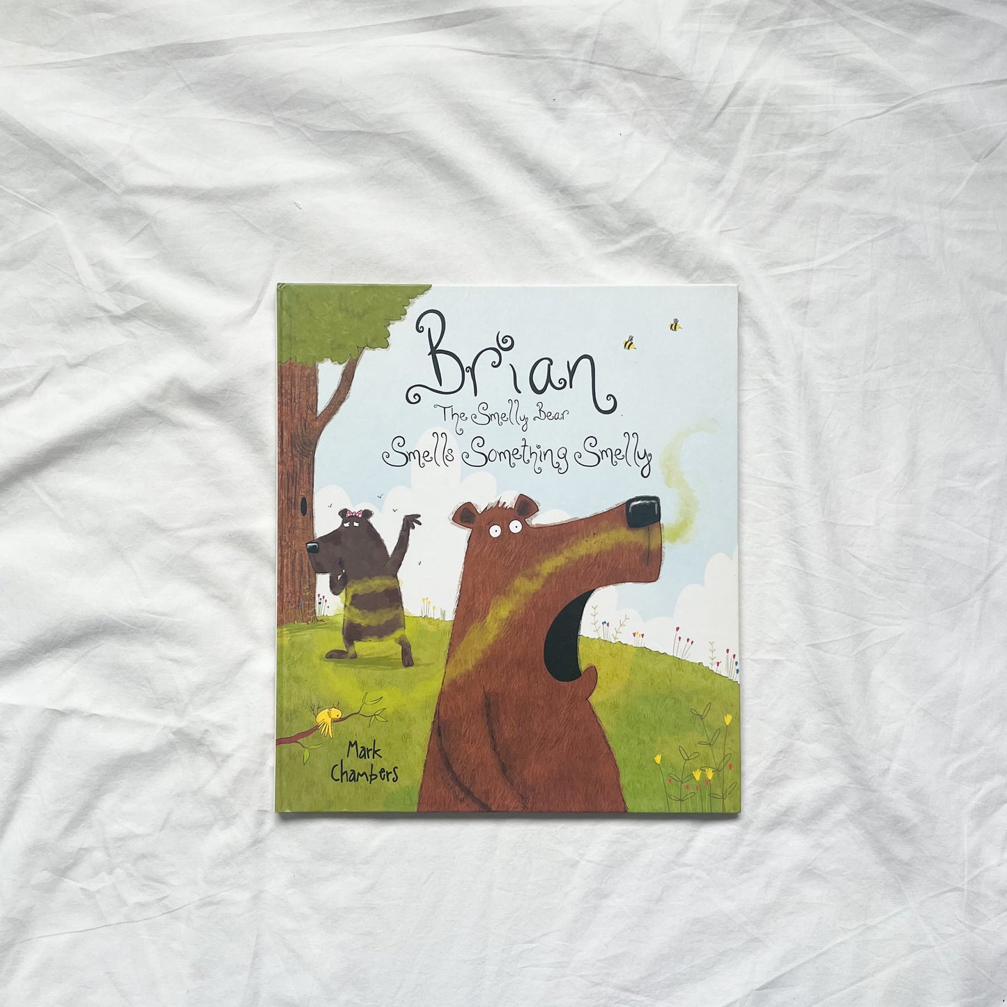 Brian the bear book, large