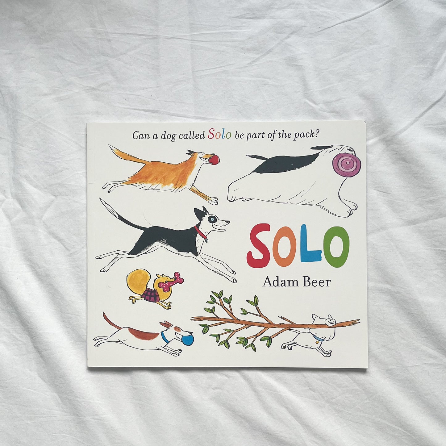 Solo dog book, med-large