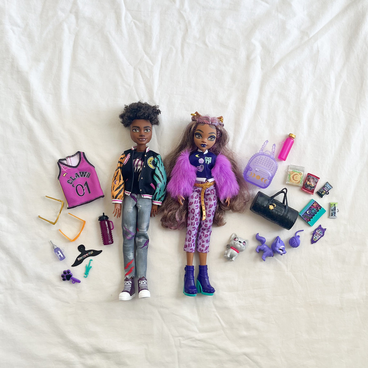 Monster high dolls and accessories