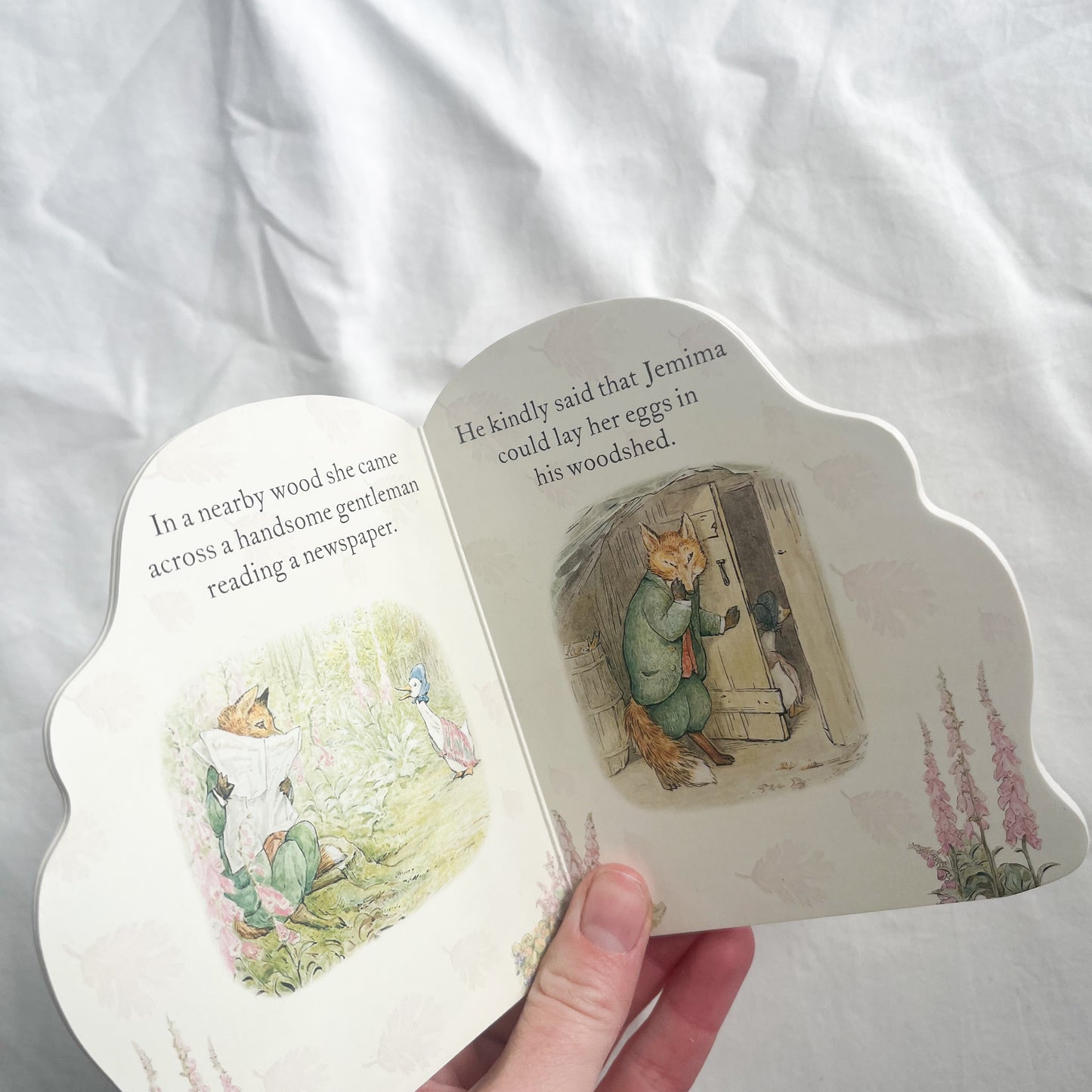 Beatrix potter book, small