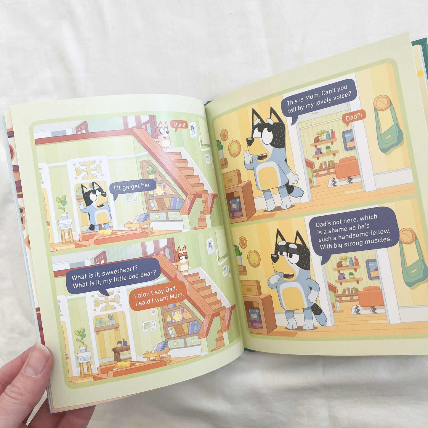 Bluey book, small-med