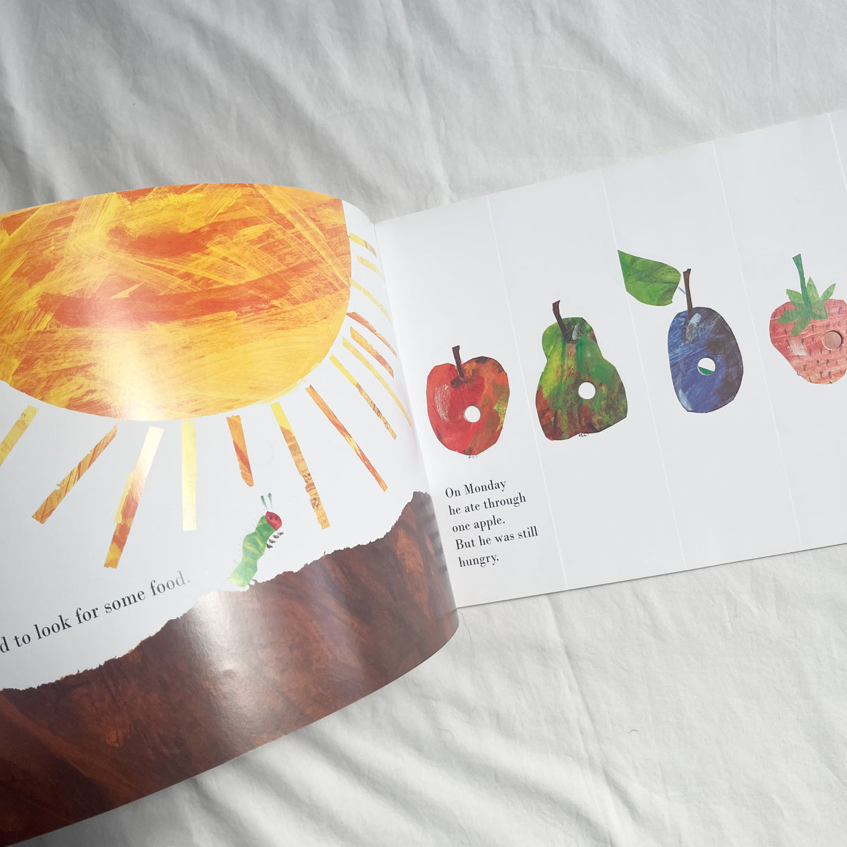 Hungry caterpillar book, med-large