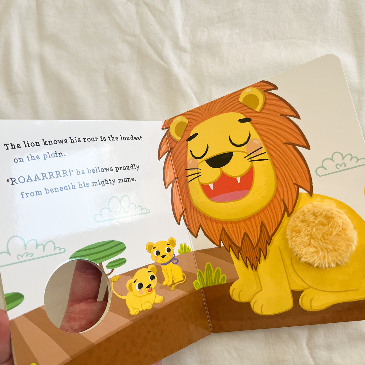 Cheep cheep book, small