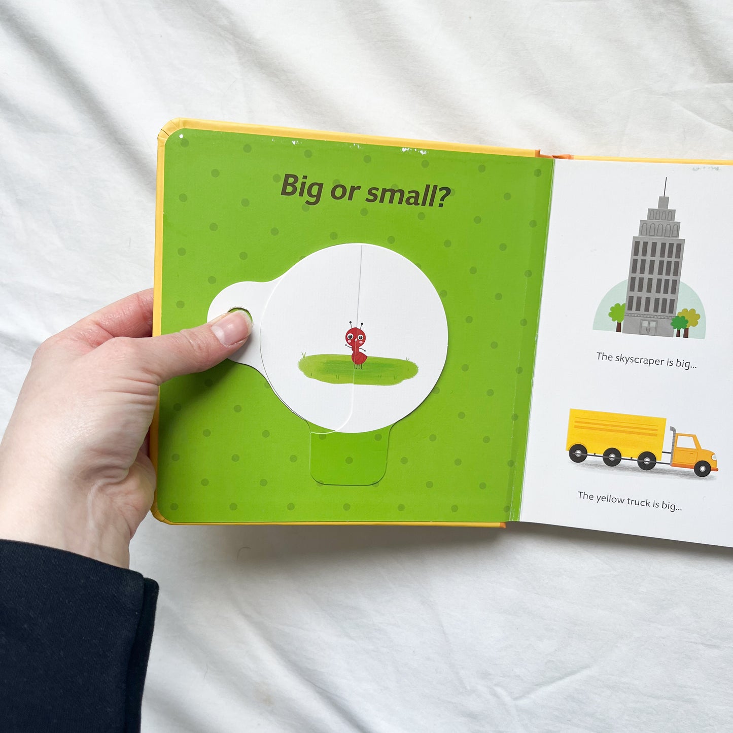 Opposites book, small-med