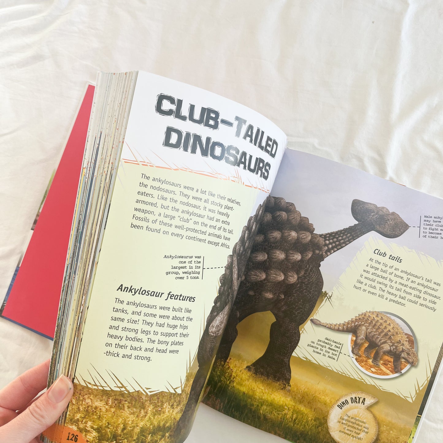 Dinosaur book, large