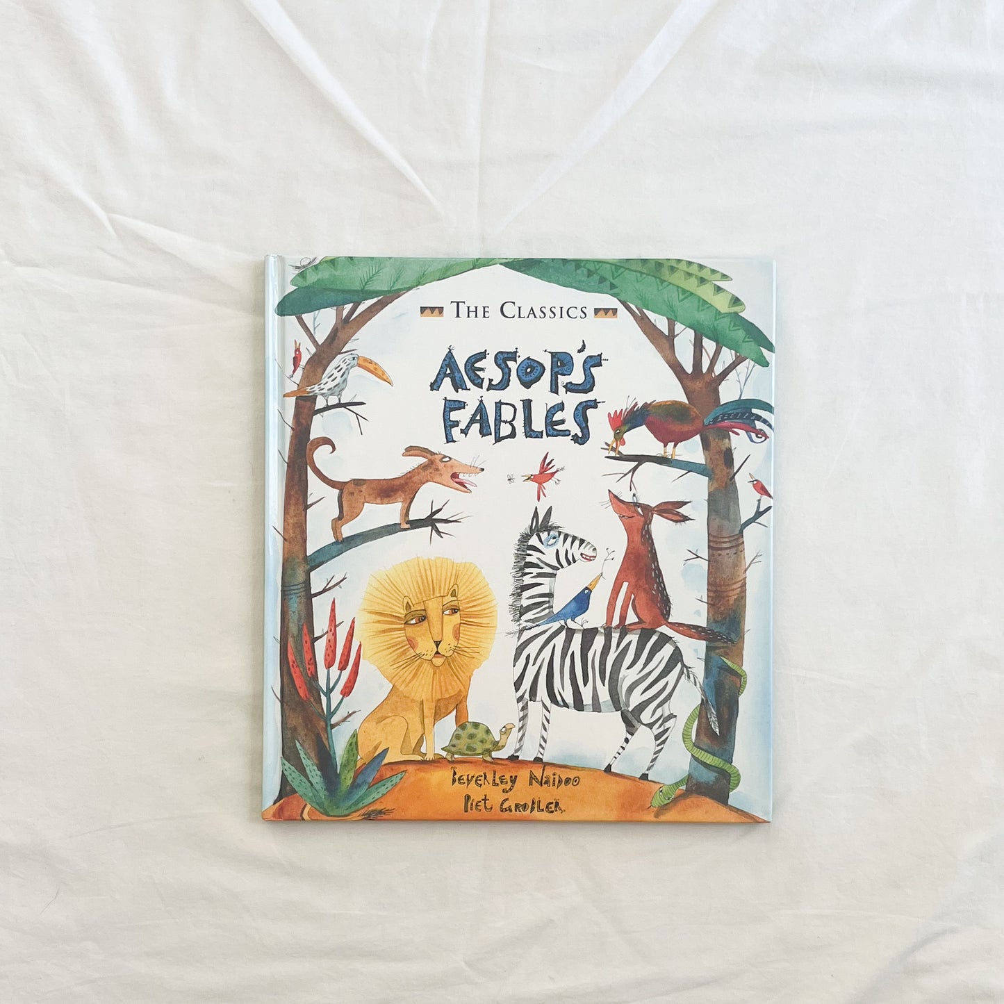 Aesops fables book, large