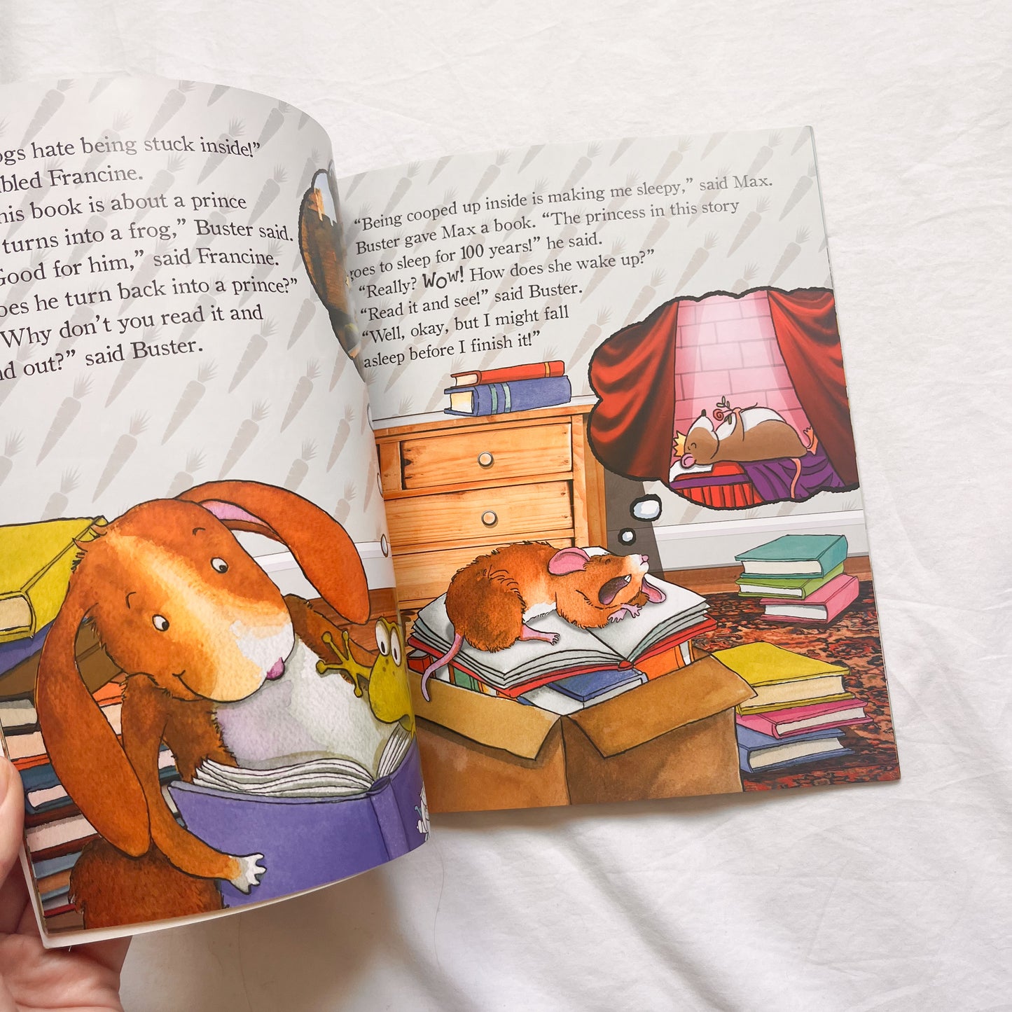 Bunny book, medium