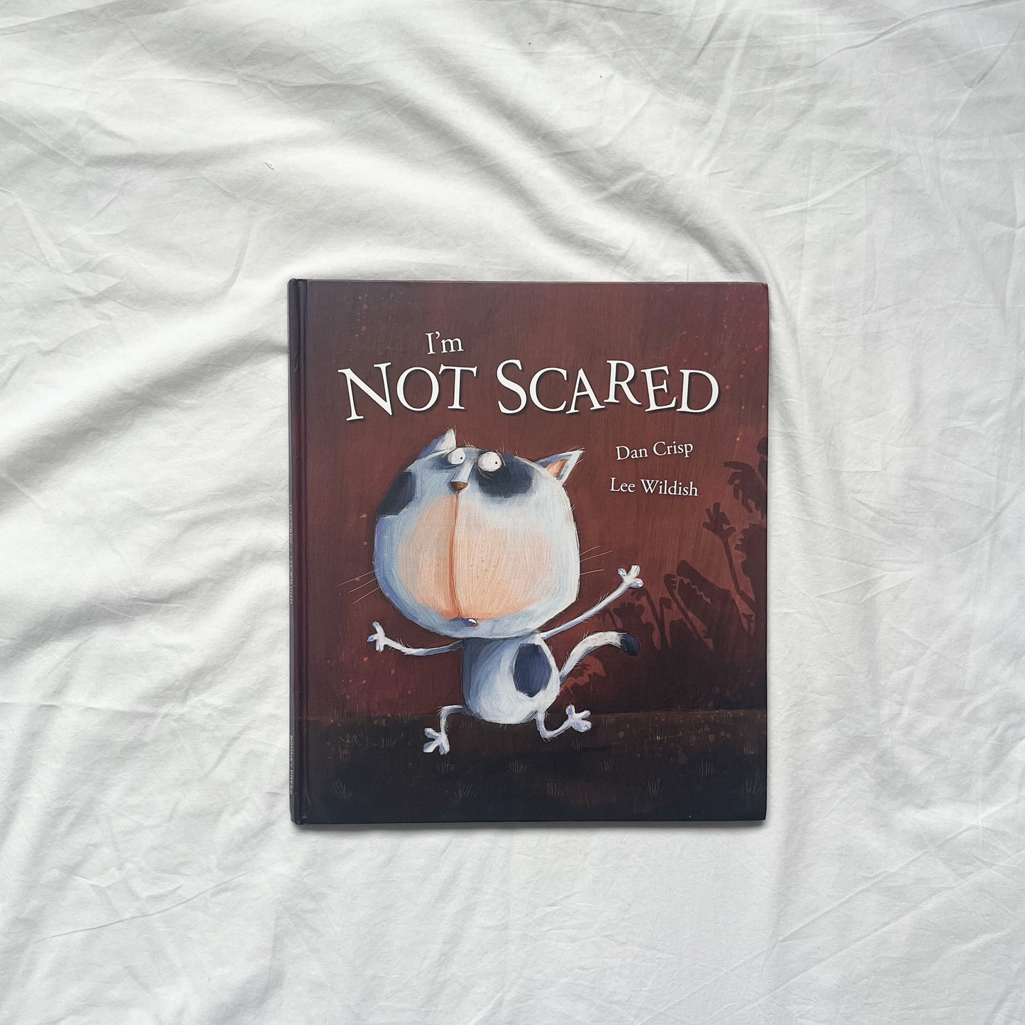 I’m not scared book, large