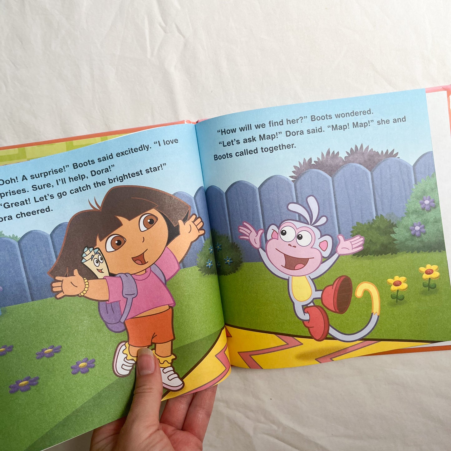 Dora book, medium